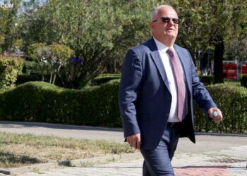 Dy fjalë për këto qenie të neveritshme, që as gomari nuk i konkurron dot