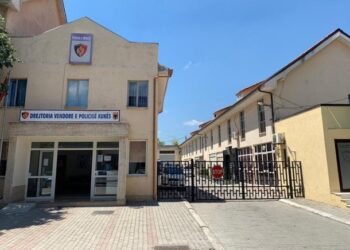 E lindi dhe e vdiq Ariolën për 40 mijë lek asistencë, dy mjekë dhe agjencia e funeralit në hetim
