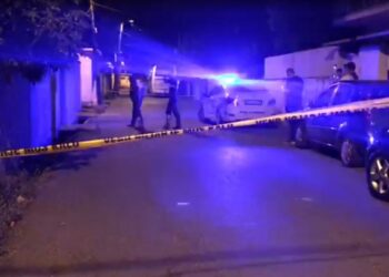 24-vjeçari mbyt me plastmas nënën e tij! Babai: Në burg duhet të futet doktori, jo im bir