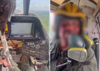 VIDEO/ Zogu përplaset me avionin, piloti vijon fluturimin i mbuluar me gjak