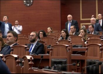 Tabaku drejton partinë/ Grupi i PD me qëndrim zyrtar: Grup pune për bashkimin e partisë dhe zgjedhjen e kryetarit