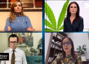 “Kanabisi për qëllime mjekësore do të tregtohet jashtë vendit”/ Spahiu pro legalizimit: Fillimisht do të përdoret vetëm për eksport