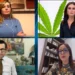“Kanabisi për qëllime mjekësore do të tregtohet jashtë vendit”/ Spahiu pro legalizimit: Fillimisht do të përdoret vetëm për eksport