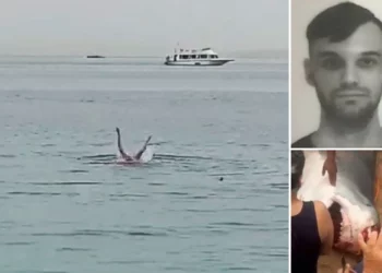 Gjenden brenda peshkaqenit pjesët e trupit të 23-vjeçarit në Egjipt