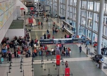 La mbesën vetëm në aeroport për të kapur fluturimin, arrestohet gjyshja e papërgjegjshme, vogëlushja u gjet duke qarë