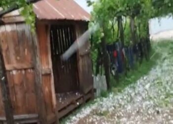 Breshëri bën ‘kërdinë’ në Fushë Arrëz, shkakton dëme të konsiderueshme në bujqësi