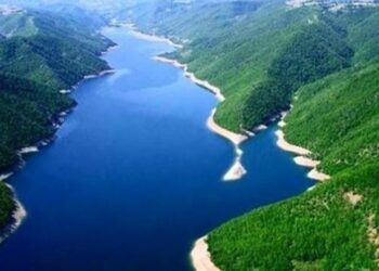 Do kemi fashë në verë?