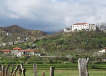Tragjike/ Humbi në pyll duke mbledhur kërpudha, 25-vjeçari gjendet i pajetë në një kanal me ujë