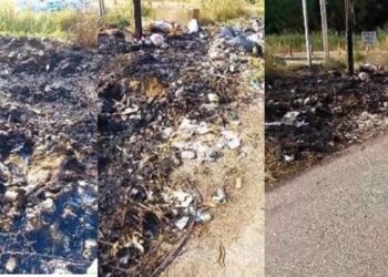 VIDEO / Qerreti qelbet nga plehrat, banorët me sytë nga Bashkia Kavajë: Do ngelemi pa turistë sivjet