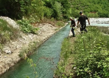 E mori para rrjedhja e ujit, humb jetën roja i kanalit vaditës në Librazhd