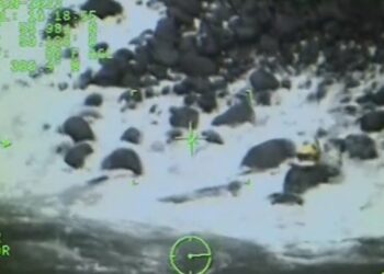 VIDEO/Roja bregdetare noton në detin e trazuar për të shpëtuar qenin