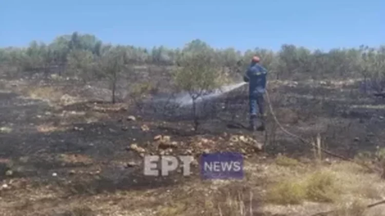 FOTO| Flakët pushtojnë Greqinë, rrezikon të kthehet në vend afrikan