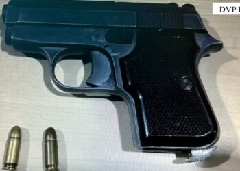 Vjedhje, drogë dhe armëmbajtje, arrestohen katër të rinj në Lezhë