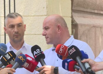 Nallbati e Gështenja: 276 anëtarë të Këshillit Kombëtar të PD, kundër zgjedhjeve të 29 korrikut