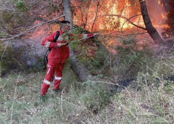 5 vatra aktive zjarri/ Peleshi: Në terren 144 efektivë të FA, 3 zjarrfikëse dhe helikopteri Cougar