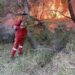 5 vatra aktive zjarri/ Peleshi: Në terren 144 efektivë të FA, 3 zjarrfikëse dhe helikopteri Cougar