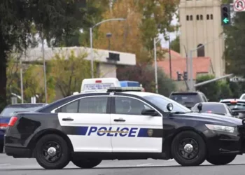 3-vjeçar qëllon për vdekje me armë zjarri motrën e tij 1 vjeçe