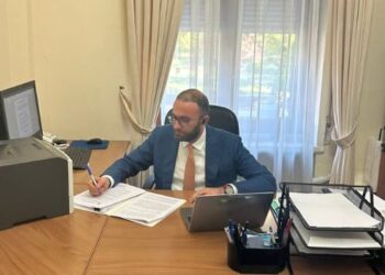 Nga Agron Kuliçi tek Andi Lila: Pjesëmarrësit online në mbledhjen e thirrur nga Bardhi