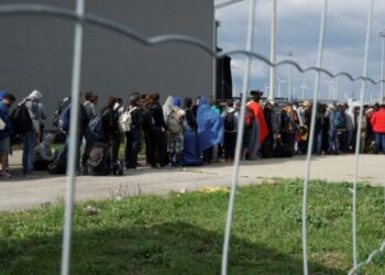 Rriten kërkesat për shtetësinë shqiptare, INSTAT: 95% më pak azilkërkues në Shqipëri në 2022