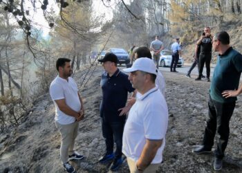 Në flakë zona e pyllëzuar në Peshtan, Balla: Zjarrvënia është vepër penale, ndëshkim ekzemplar për këdo!