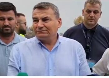 Çako në terren/ Zjarri në Krpas të Fierit, kreu i Emergjencave Civile: Situata nën kontroll, dëm masiv në pyje