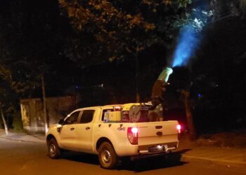 Bashkia Tiranë aksion për dezinsektimin| Veliaj: Garantojmë verë të qetë për banorët