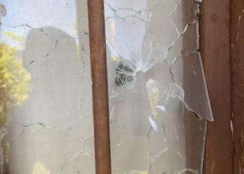 VIDEO/ Gjurmë gjaku, plumba në dritare e mur, banesa ku u fsheh 55-vjeçari në Maliq