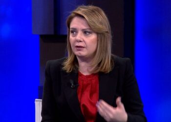 Firmosi dy herë në vendimin për t’i hequr vulën Bardhit/ Deputetja e PD: E përsëritur gabimisht. Gjethja e fikut ku kërkojnë të fshehin disfatën e revolucionit…!