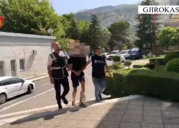 Me armë, thikë dhe kanabis në makinë, arrestohet në Përmet 35-vjeçari sllovak