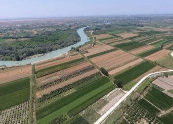 VIDEO / Rama publikon pamje nga kulturat bujqësore të Fierit: Mrekulli me tokat e punuara