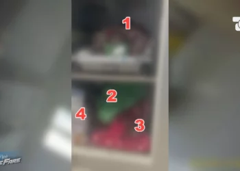 Pamjet horror në Morgun e Tiranës, trupa të dekompozuar prej tri vitesh