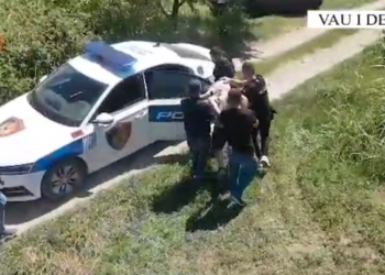 Asgjësohen 810 bimë kanabis në Vaun e Dejës/ Pranga njërit prej kultivuesve (Pamjet)