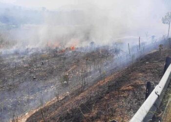 Zjarrfikësit ndërhyjnë në Dropull dhe Lazarat, flakët përhapen me shpejtësi nga era