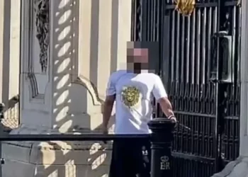 “Do vras veten”/ Alarm jashtë Buckingham, një person prangoset në portën kryesore