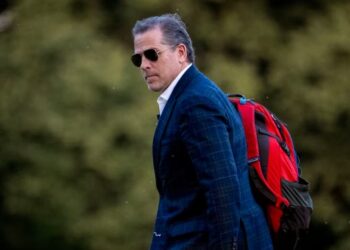 Djali i Biden deklaron pafajësinë për mospagim taksash