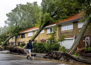 Stuhia e fortë godet Amsterdamin, anulohen rreth 300 fluturime