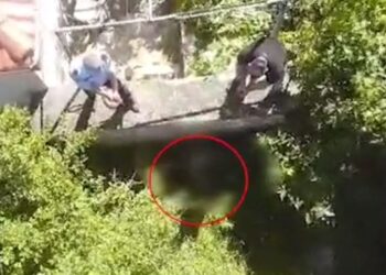 VIDEO/ Dalin pamjet e operacionit për kapjen e Gjergji Mullallit: Qëlloi ndaj policisë