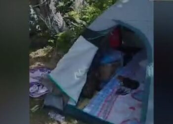 EMRAT/ Pranga grupit kriminal që shpërndanin lëndë narkotike në plazhin e Gjipesë, u sekuestrohen armë dhe municion