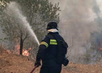 VIDEO/ Situatë e rëndë në ishullin grek, merr flakë terreni pyjor, mobilizohen forcat tokësore dhe ajrore
