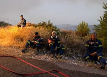 Greqia në flakë/ Tre viktima nga zjarri: I zhdukur që prej së dielës, gjendet trupi i karbonizuar i bariut në Evia
