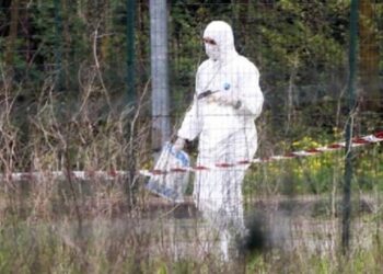 Ngjarja e rëndë/ Gjendet skeleti i një gruaje në një park, ishte brenda një kanali kullues. Dyshohet se ishte…!