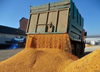 Rusia nuk i ndal sulmet në Odesa, digjen 60 mijë tonë grurë