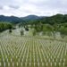 28 vjet nga gjenocidi i Srebrenicës, më i rëndi në Evropë që nga Lufta e Dytë Botërore