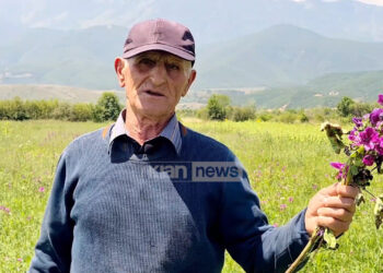 Fermeri në Dibër që sfidon të rinjtë, mbjell 20 hektarë tokë i vetëm: Mos hiqni dorë prej këtij vendi