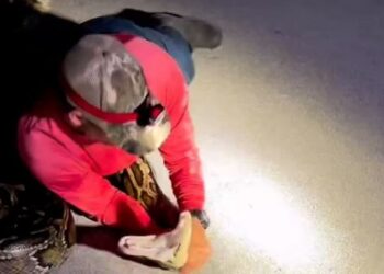 Video në Florida/ Dy gjahtarë luftojnë dhe mposhtin një Piton 6 metra të gjatë, më i madhi i gjetur ndonjëherë