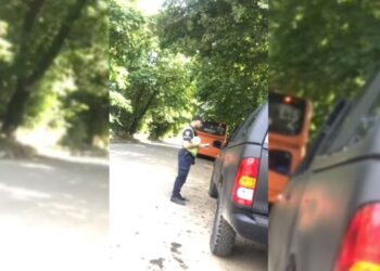 VIDEO| Shoferi tenton t’i japë ryshfet, polici shkon te kolegu dhe…