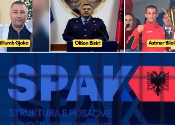 Apartamente, dyqane, truall dhe vilë, GJKKO konfiskon pasuritë e Eglantina dhe Vito Bibës, akuzohen për…