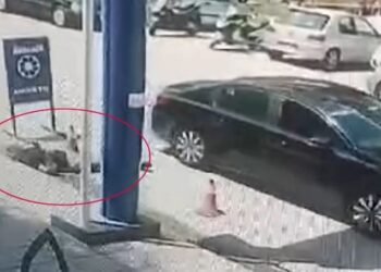 FOTO| Ky është shqiptari që u vra në Selanik të Greqisë nga bashkëkombësi i tij