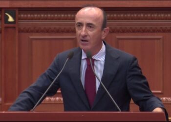 Kuvend/ Deputeti i PD: SPAK të vërë traun të vilat 500 mijë euroshe te Gjiri i Lalëzit dhe të kapë politikanët e korruptuar! Janë të lidhur me krimin