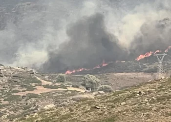VIDEO/ Zjarret në Karystos: Zhduket një banor i Platanistos, shtëpitë përfshihen nga flakët